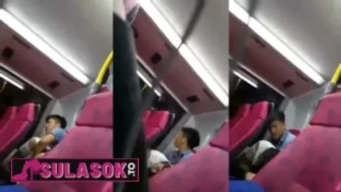 Viral - Lambingan sa Edsa Bus Carousel